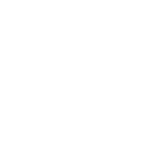 American Diploma Math